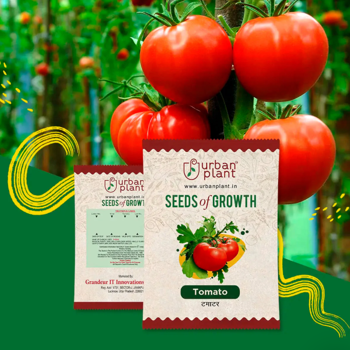 semillas de Tomate🍅avanzadas cherry - tomates para toda la vida en casa